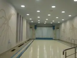 Бассейн, Московская область,Корабельные сосны